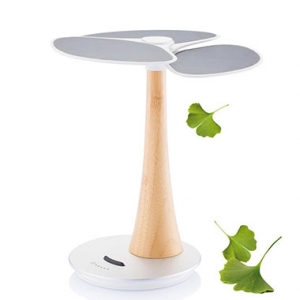 Chargeur solaire Rabat